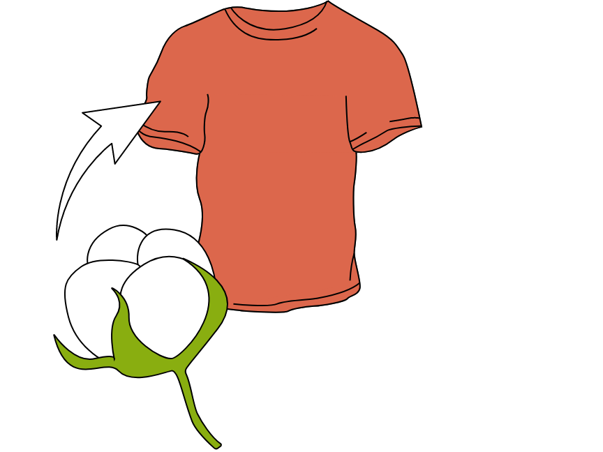 Illustration of a cotton plant and a red T-shirt