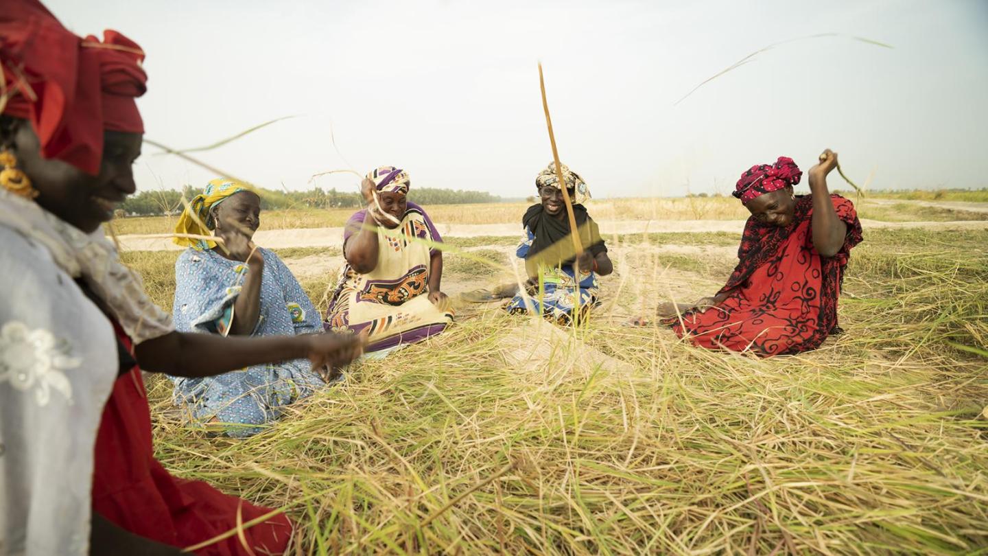 Farm women work while sitting in the fields.