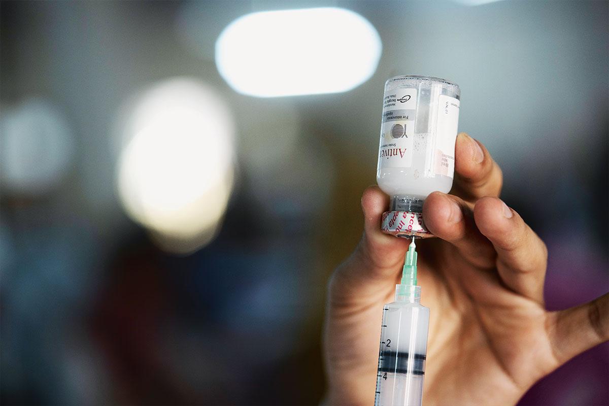 Spritze mit Ampulle Antivenin