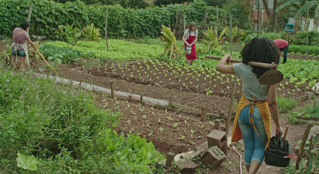 4 people working in a garden