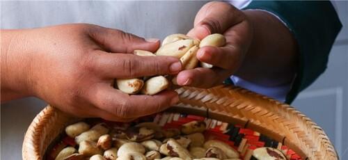 A man sorting Brazil nuts.