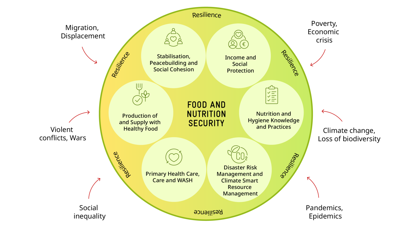 Schematic representation of a cycle. Food security is at the centre, followed by six segments: stabilisation, peacebuilding; income; nutrition and hygiene; disaster risk and climate-smart resource management; basic health; food production/supply. Around the outside of the circle are red arrows representing challenges, while the word “resilience” is repeated inside.