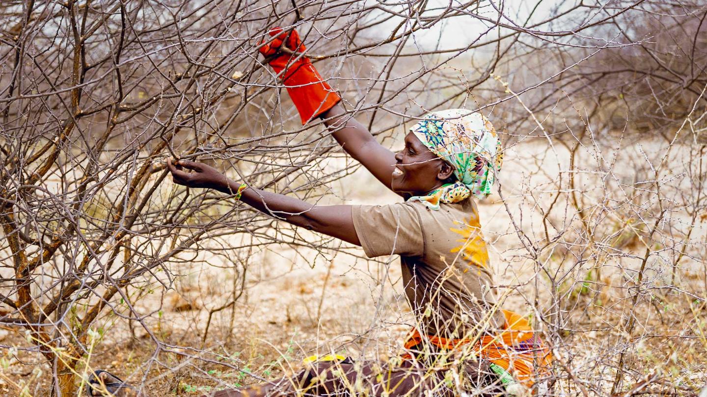 Eine Frau mit buntem Kopftuch steht in einer trockenen Landschaft neben einem kahlen Baum und fasst mit beiden Händen in die Äste. An der rechten Hand trägt sie einen großen roten Handschuh.