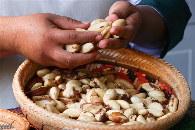 Ein Mensch sortiert Paranüsse 