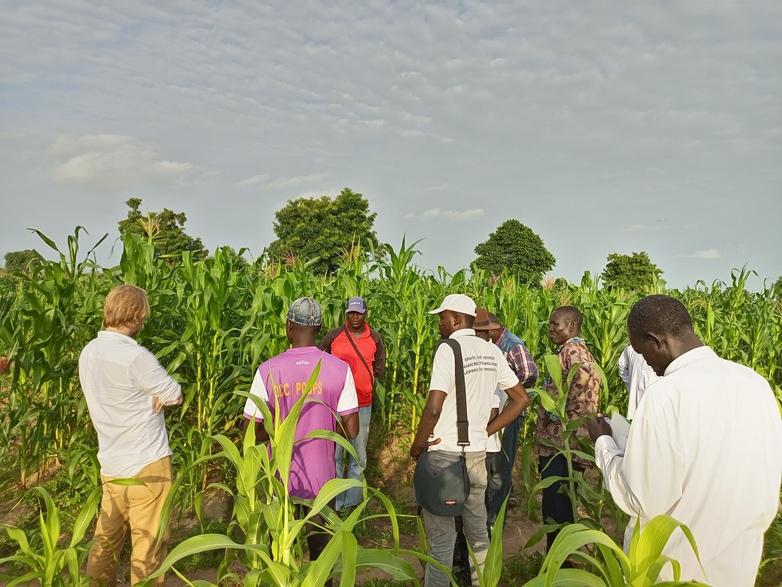 Plusieurs personnes se trouvent dans un champ.