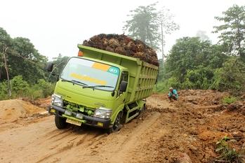 1_Transporting FFB 1