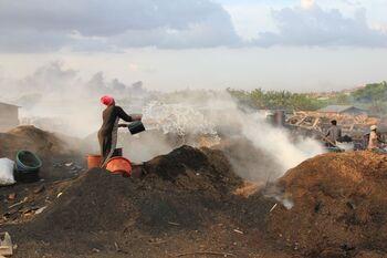 2 Holzkohleproduktion