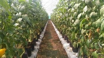 2018-08-29_TSR picture 2