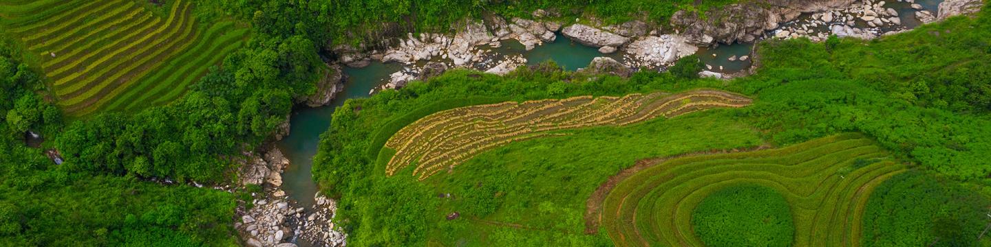 Ein Bach mit felsigem Ufer schlängelt sich durch eine grüne Landschaft