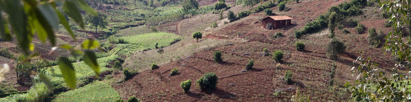 Eine Hütte steht in einer hügeligen, teilweise begrünten Landschaft