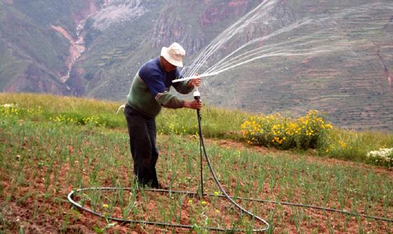 Wassersparende Sprinklerbewässerung im Gemüseanbau. Foto: GIZ