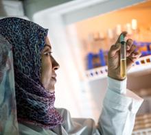 Ägypten. Kontrolle der Wasserqualität im Labor.  © GIZ