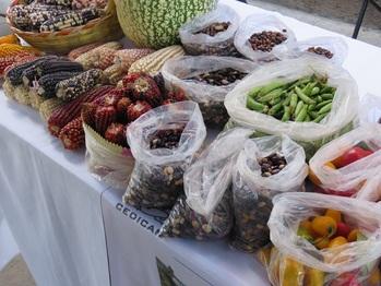 Foto1_GIZ_agricultural produce