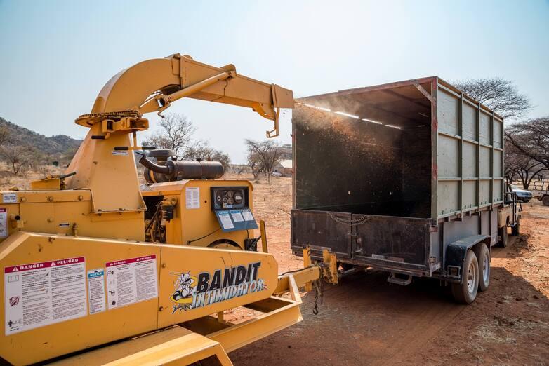 giz-IMAGE-2022-busch-biomasse3