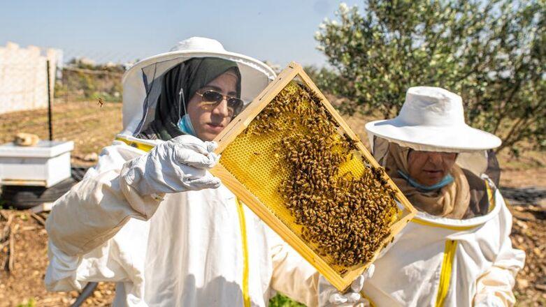 giz-IMAGE-2022-personen-hantieren-mit-bienen