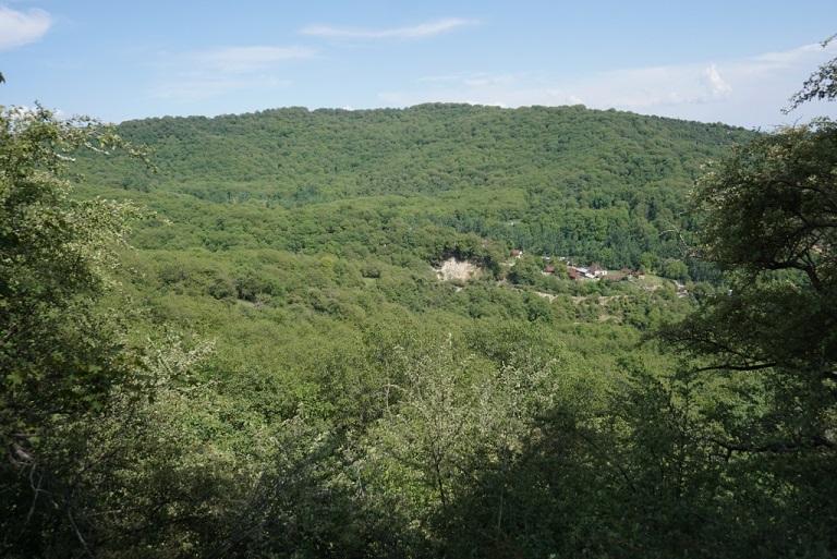 giz-IMAGE-2022-walnusswald-75