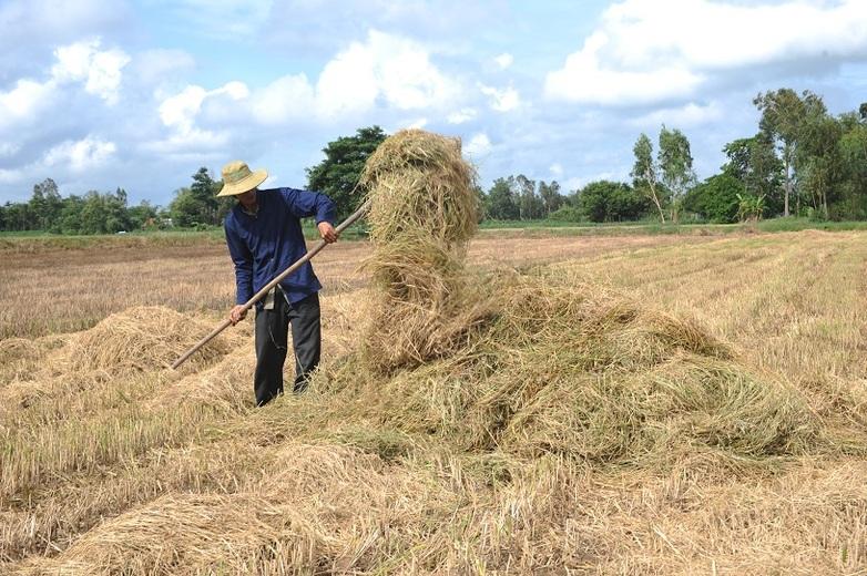 giz-vietnam-klimaschutz-02