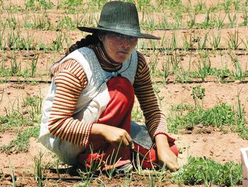 GIZ2019_Sustainable_agriculture_2