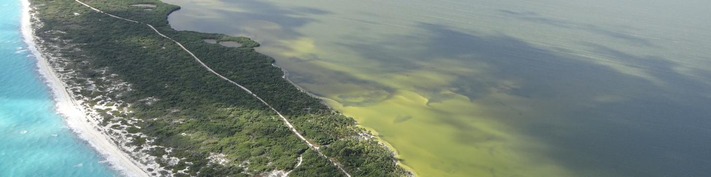 Vista aérea de una playa.