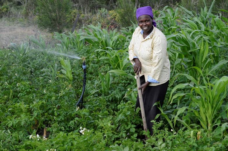 A smallholder farmer working in a field next to a solar powered irrigation system.