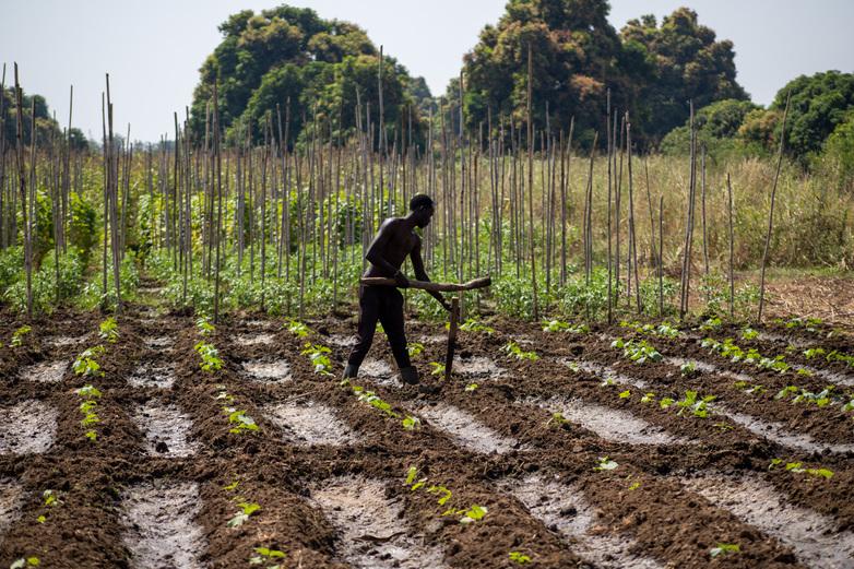 giz2024-image-gemeindebasierte-laendliche-entwicklung1