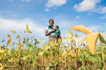 A mother with her young child on a cowpea field in the Eastern province of Zambia.