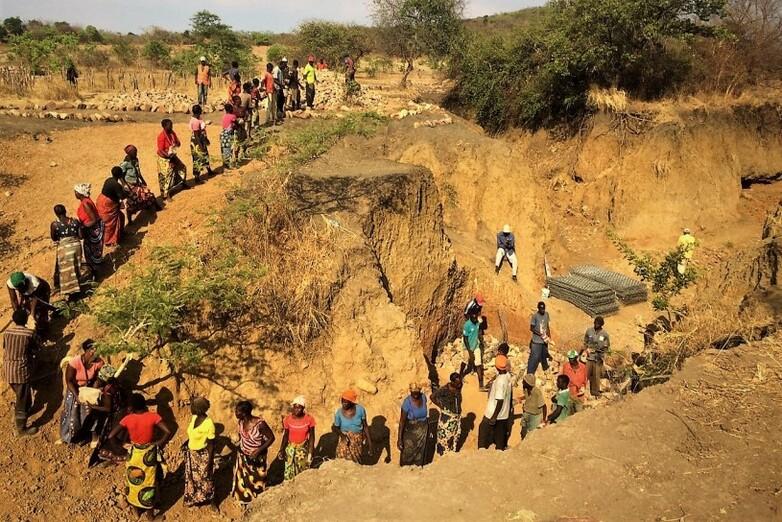 Many members of a community building a check dam to reduce the flow velocity of a watercourse.