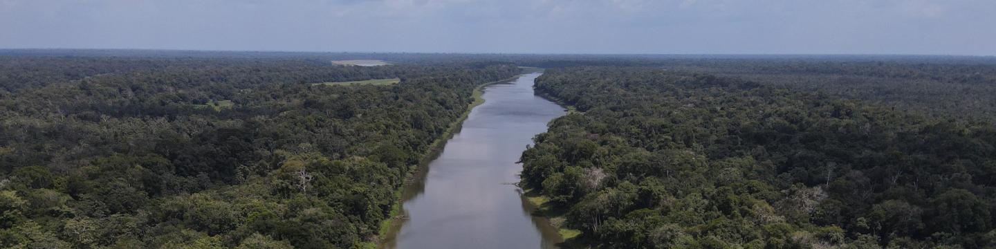 Luftaufnahme eines breiten Flusses inmitten eines dichten Regenwaldes in der Amazonasregion.