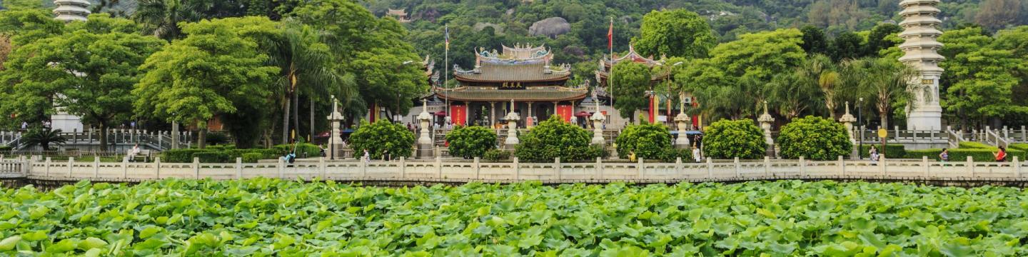 See mit Lotusblüten und einem Tempel.