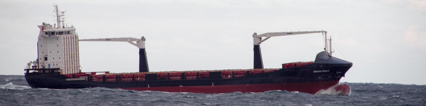 Containerschiff auf dem Schwarzen Meer.