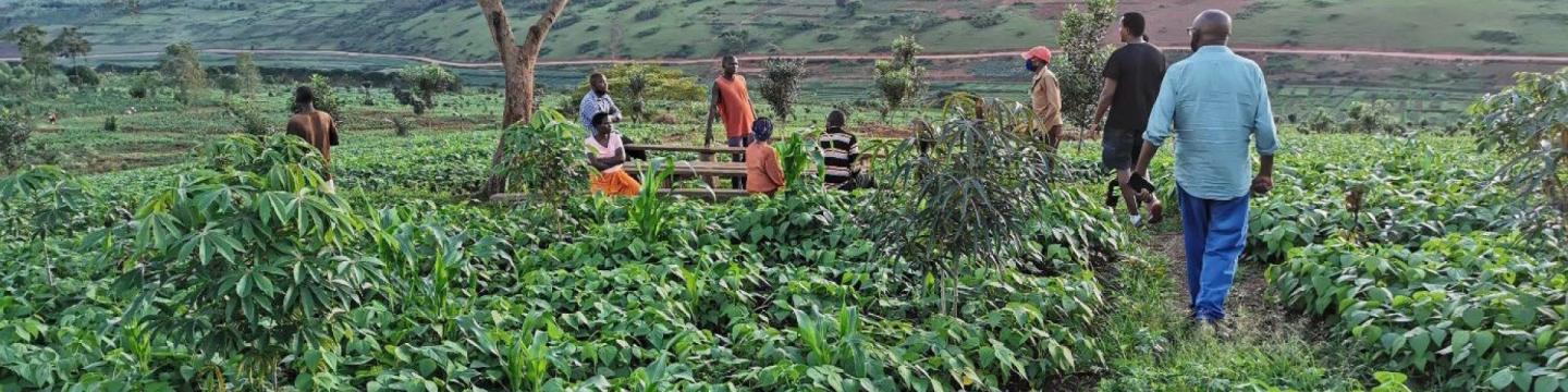 Les gens se rassemblent dans un champ.