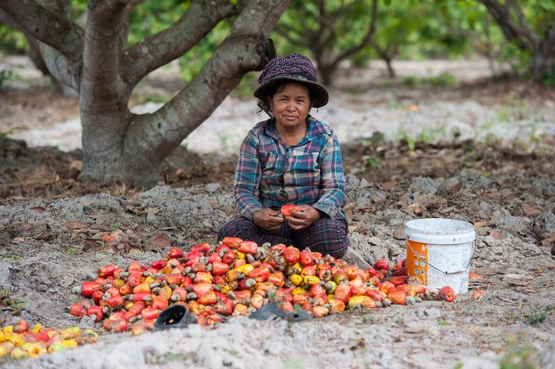 Eine Frau sitzt hinter einem Haufen Cashew-Nüsse.