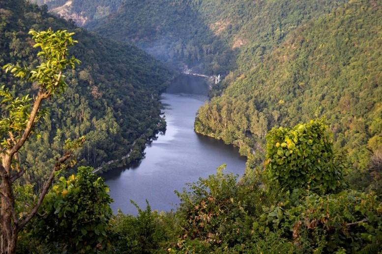 The Banks of the Renuka Wetland