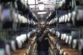 gizIMAGE_epp_jordan_01