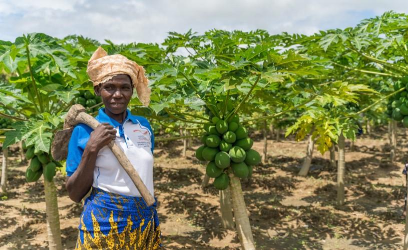 A mother has her child on her lap being fed by its father.