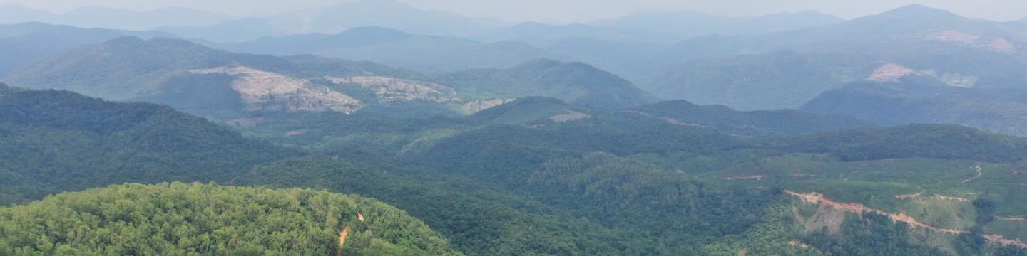 Luftaufnahme von bewaldeten Hügeln und unbefestigten Straßen im geschützten Waldgebiet Dong Xuan in Vietnam.