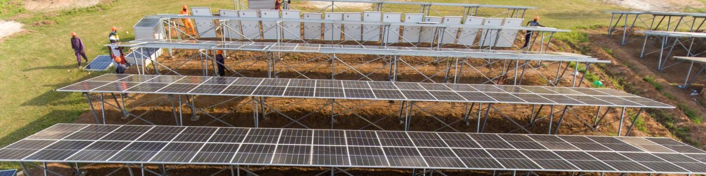 Solarzellen auf einer Wiese.