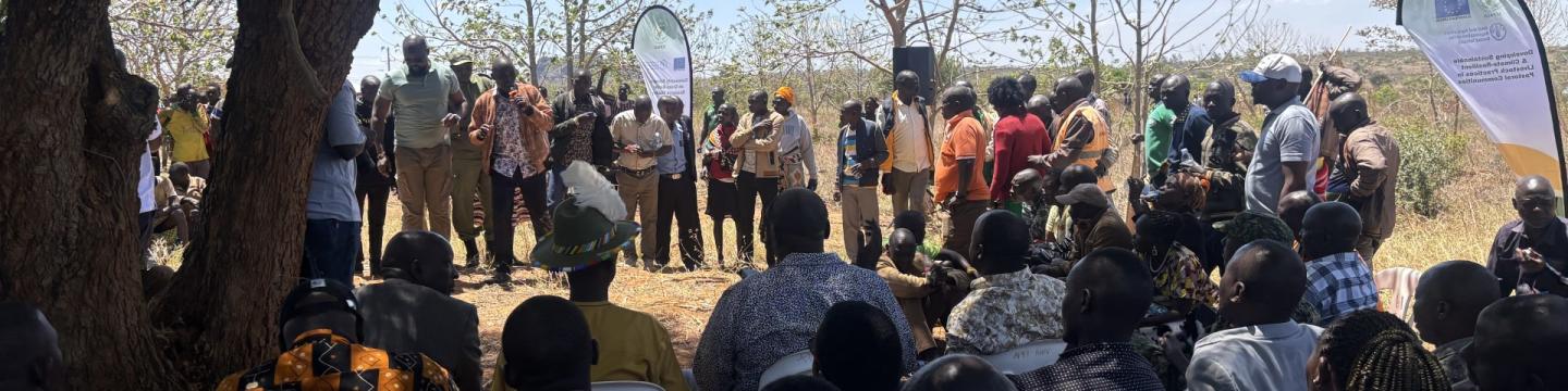 Menschen stehen bei einem Treffen im Freien zusammen.