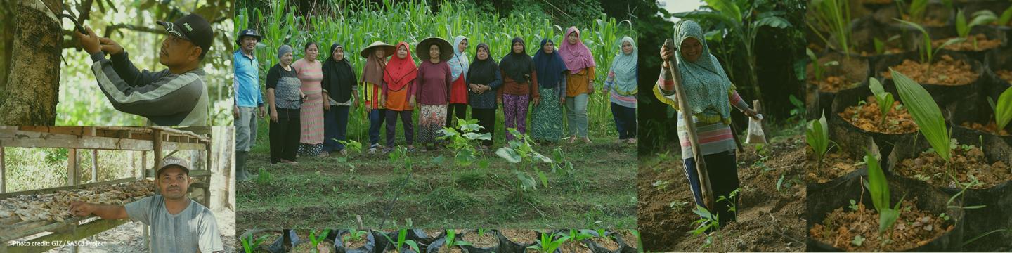 Eine Bildercollage von Farmern bei der Arbeit.