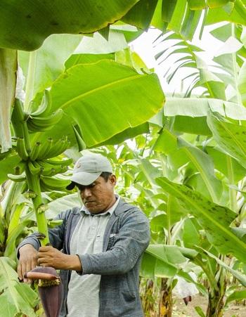 gizIMAGE-klimarisiken-peru
