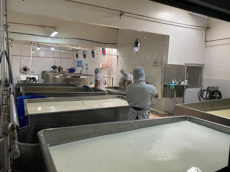 Mitarbeitende stehen an großen Wannen einer Molkerei.