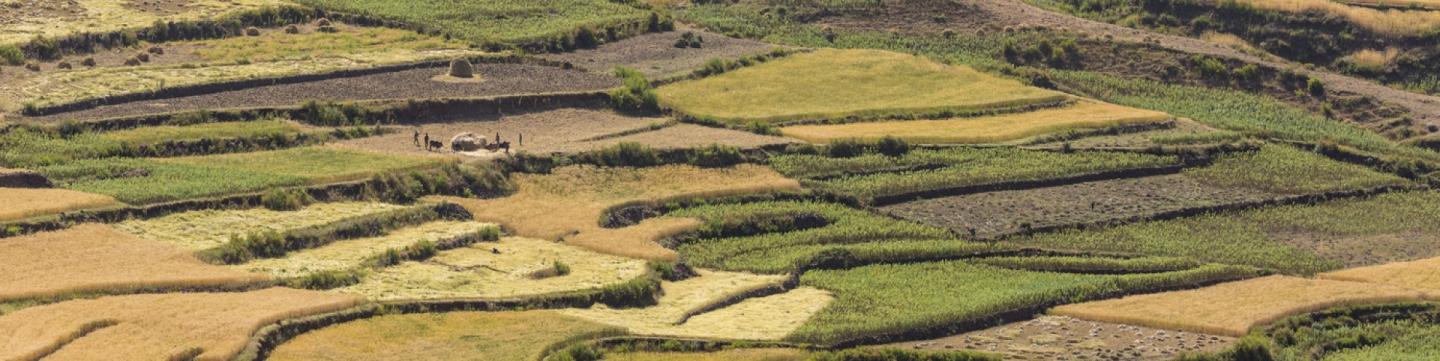 Luftaufnahme verschiedener bewirtschafteter Flächen.