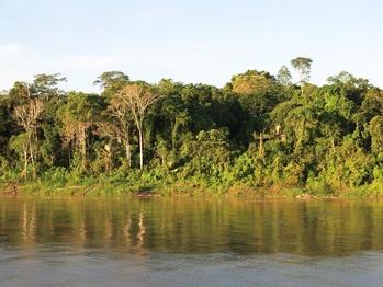 gizIMAGE-madre-de-dios-rainforest-01