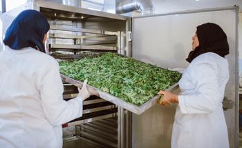Two women process medicinal plants and dry them on a tray.