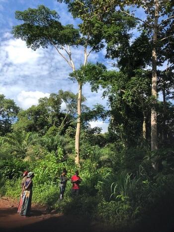 Several people standing on a forest path and making notes / Copyright: GIZ / Malin Elsen