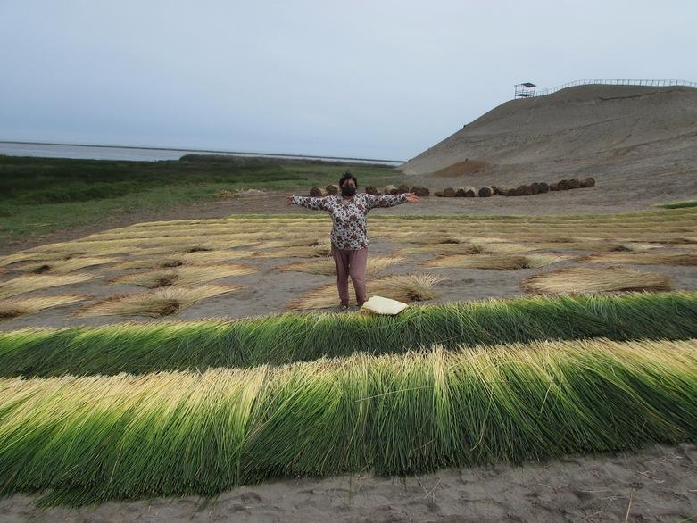 Artesana en un campo de juncos del humedal Albúfera de Medio Mundo, Lima (Perú). © CooperAccion