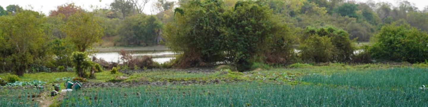 Neben einem Feld liegen mehrere Gießkannen. Dahinter befinden sich Büsche, Bäume und ein Fluss.