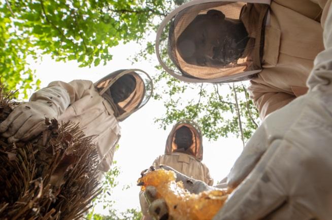 Ehemaliger Begünstigter der Fazilität für Innovation (F4I) in Koinadugu, der mit F4I-Fördermitteln einen Smoker und Imkeranzüge kaufte und nun vor Ort hochwertigeren Honig in größeren Mengen produzieren kann.