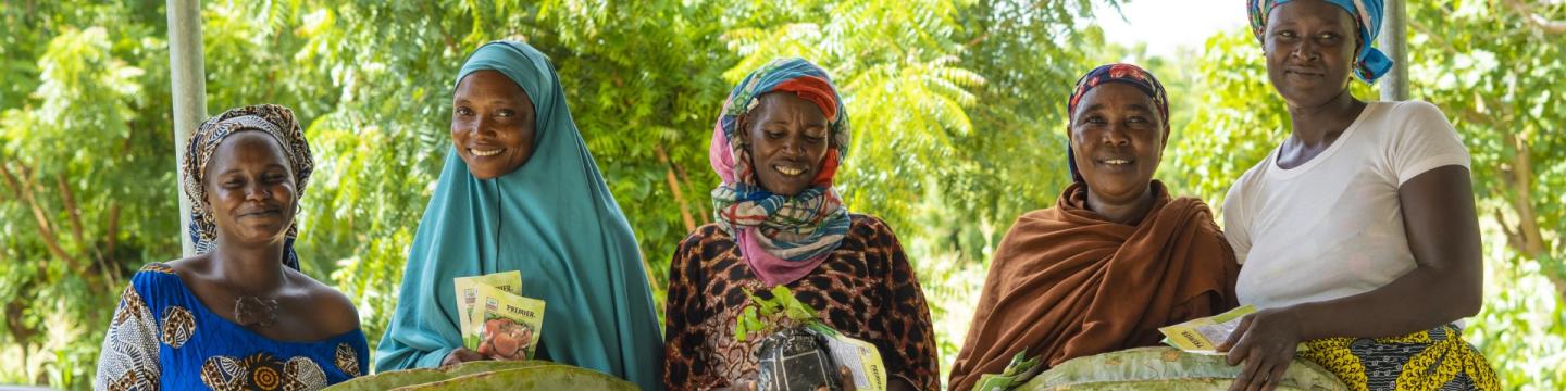 Fünf Frauen in Nigeria mit Agrarprodukten und Informationsbroschüren. Es handelt sich um Teilnehmerinnen eines Projekts zur Stärkung der Rolle der Frauen und zur Verbesserung der landwirtschaftlichen Lebensgrundlagen.