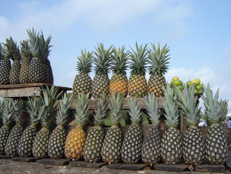 gizIMAGE-unterstuetzung-kolumbien-03